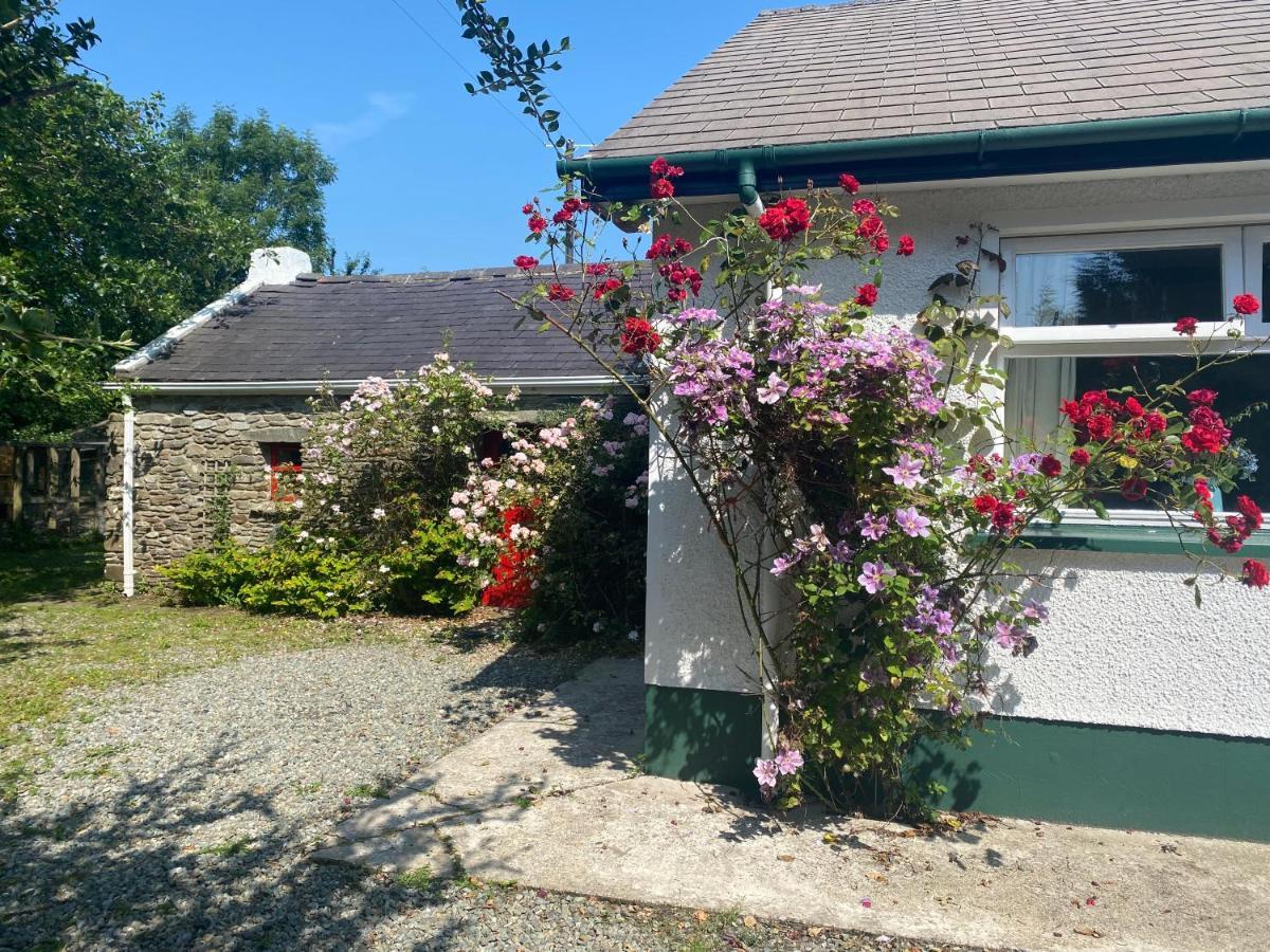 Hawthorn Cottage Greencastle  Exterior foto